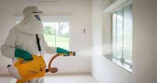 Sanitização de ambientes no Horto do Ipê